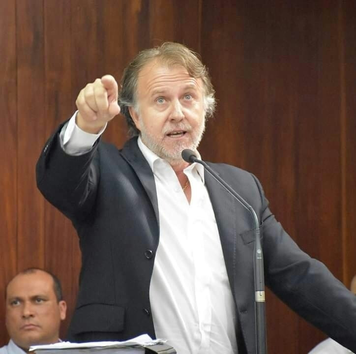 Lei de 2020, que diminui fila para remoção de árvores, ainda não foi regulamentada