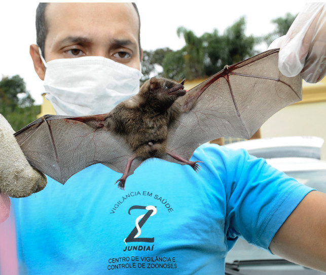 Zoonoses realiza ação preventiva no Jardim Fepasa