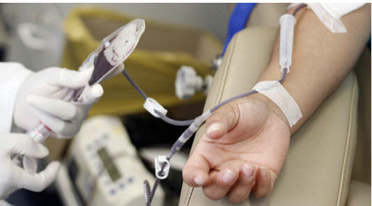 Família de Andréia pede ajuda com doações de sangue